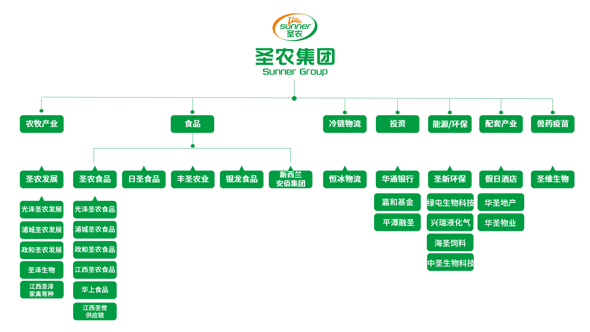 集团架构